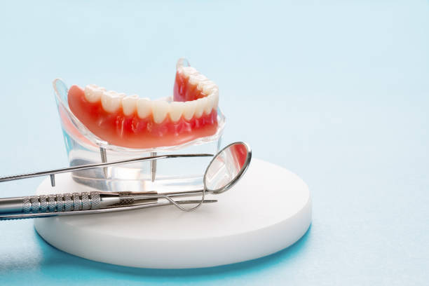 Why Choose Us for Your Dental Needs in Alexandria, VA